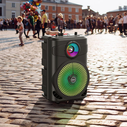 BS46 Mature Outdoor BT Speaker - hocotech